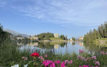 Appartement 3.5 pièces - image - 10