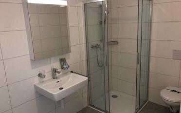 Attic flat 2.5 rooms - image - 6