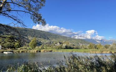 Appartement 3.5 pièces - image - 13