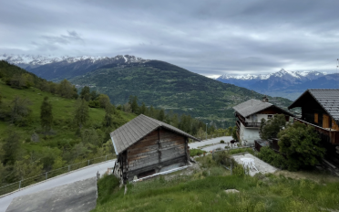 Chalet 4 rooms - image - 3