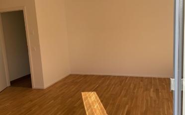Wohnung 2.5 Zimmer - image - 5