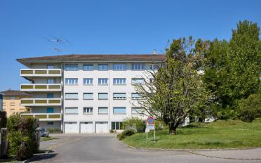 Wohnung ein Zimmer - image - 3