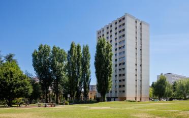 Wohnung ein Zimmer - image - 4