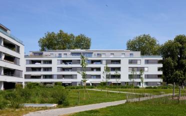 Apartment 2.5 rooms - image - 4