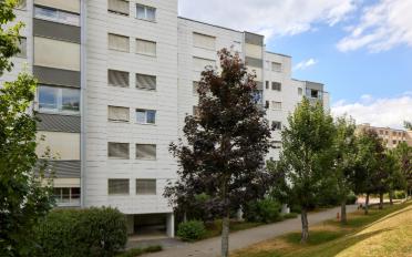 Apartment 1 room - image - 3