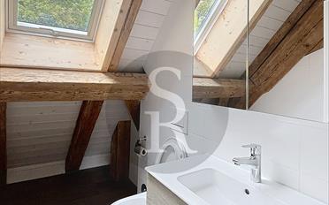 Duplex 3.5 Zimmer - image - 4