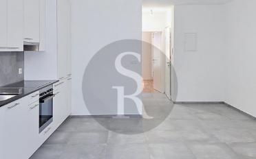 Wohnung 2.5 Zimmer - image - 1