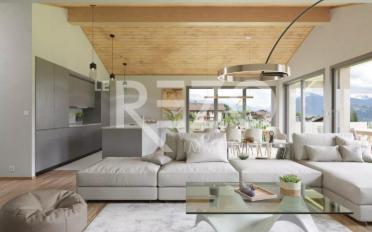 Attic flat 2.5 rooms - image - 1