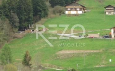 Chalet 6.5 pièces - image - 1
