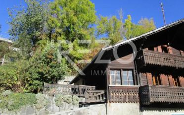 Chalet 6.5 pièces - image - 2