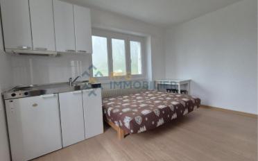 Apartment 1.5 rooms - image - 6