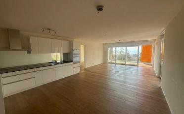 Wohnung 4.5 Zimmer - image - 2