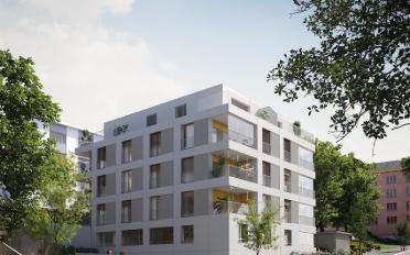 Apartment 2.5 rooms - image - 3