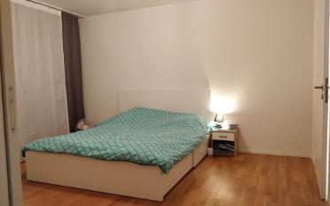 Apartment 2.5 rooms - image - 4