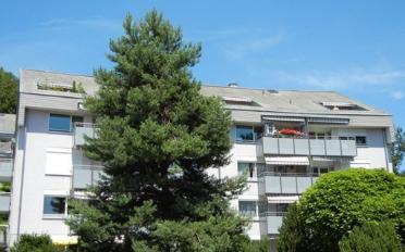 Appartement 2 pièces - image - 1