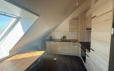 Wohnung 2.5 Zimmer - image - 3