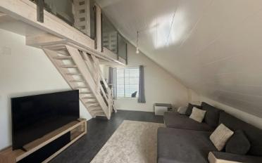 Wohnung 2.5 Zimmer - image - 1