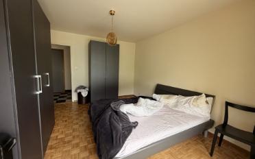 Wohnung 2.5 Zimmer - image - 3