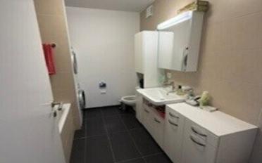 Apartment 3.5 rooms - image - 9