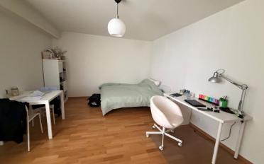 Wohnung ein Zimmer - image - 3