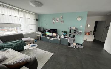 Appartement 3.5 pièces - image - 2