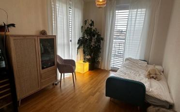 Attikawohnung 4.5 Zimmer - image - 7