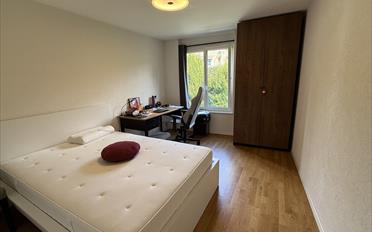 Appartement 3.5 pièces - image - 8