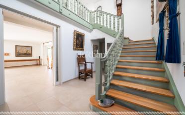 Maison 6.5 pièces - image - 7