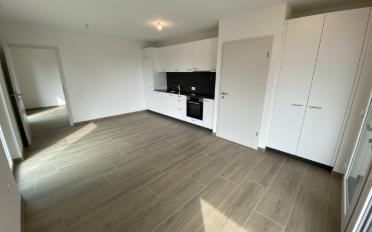 Wohnung 2.5 Zimmer - image - 5