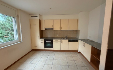 Apartment 1 room - image - 5