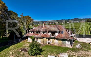 Building land - image - 5