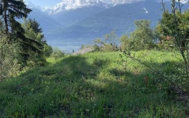 Bauland - image - 4