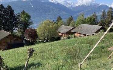 Bauland - image - 3