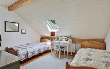 Single house 6 rooms - image - 13