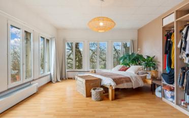 Einfamilienhaus 12.5 Zimmer - image - 12