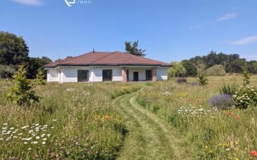 Einfamilienhaus 5.5 Zimmer - image - 1