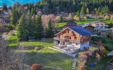 Chalet 9.5 pièces - image - 5