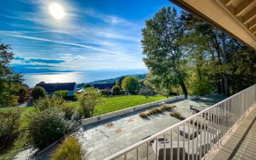 Villa 11 Zimmer - image - 1