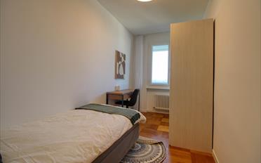 Single room 1 room - image - 4