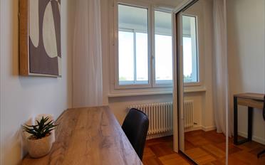 Single room 1 room - image - 5