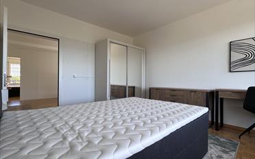 Single room 1 room - image - 1