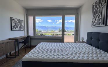 Single room 1 room - image - 9