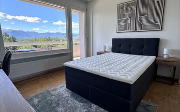 Single room 1 room - image - 10