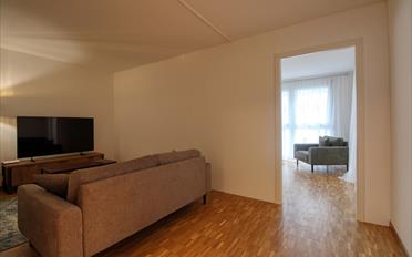 Single room 1 room - image - 16