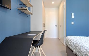 Studio 1.5 rooms - image - 2