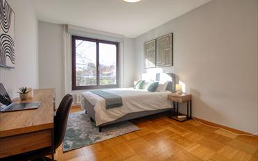Single room 1 room - image - 1