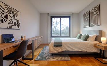 Single room 1 room - image - 4