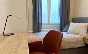 Chambre 1 pièce - image - 4
