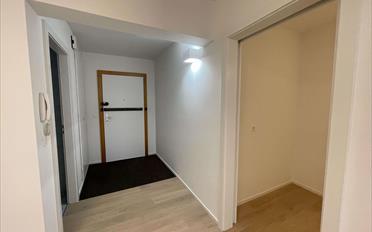 Single room 1 room - image - 7