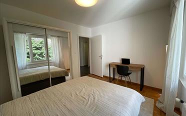 Chambre 1 pièce - image - 1